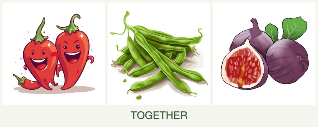 Can you plant peppers, beans and figs together?