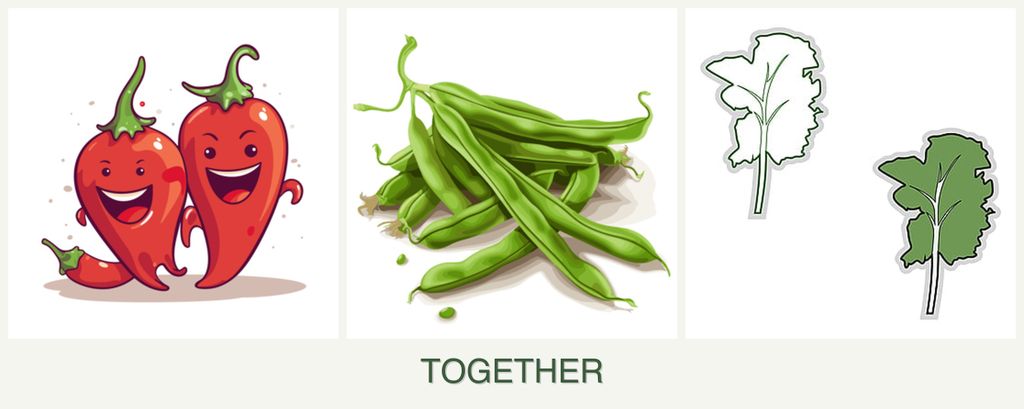 Can you plant peppers, beans and kale together?