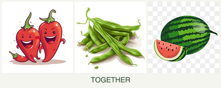 Can you plant peppers, beans and melons together?