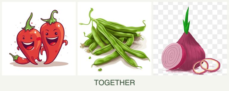 Can you plant peppers, beans and onions together?
