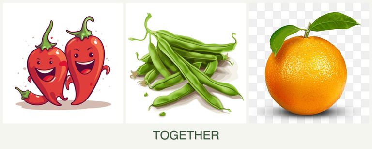 Can you plant peppers, beans and oranges together?