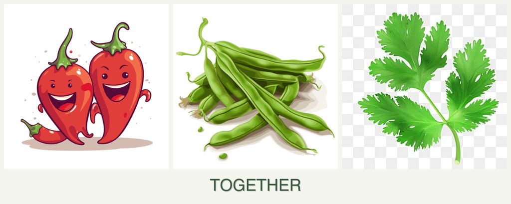 Can you plant peppers, beans and parsley together?
