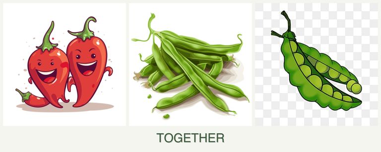 Can you plant peppers, beans and peas together?