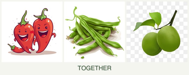 Can you plant peppers, beans and plums together?