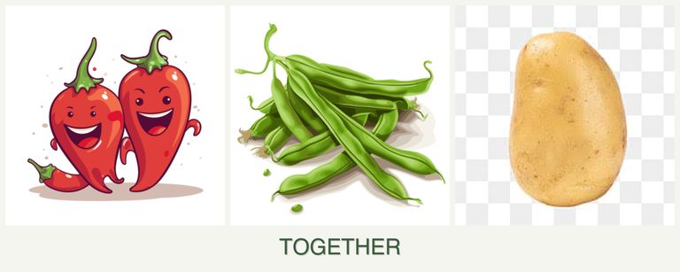 Can you plant peppers, beans and potatoes together?