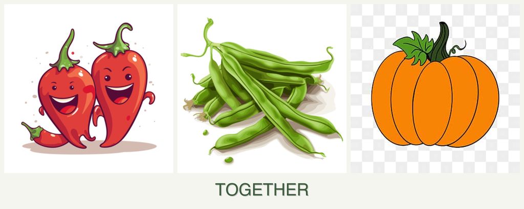 Can you plant peppers, beans and pumpkin together?