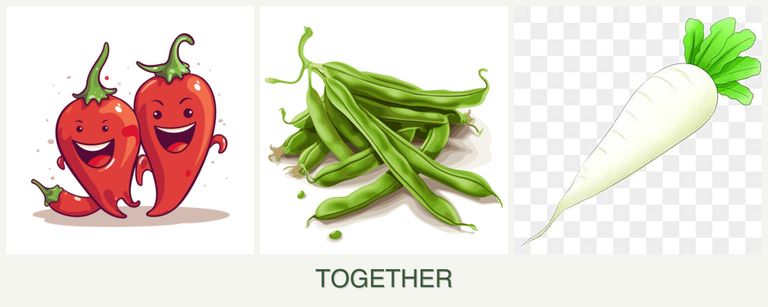 Can you plant peppers, beans and radishes together?