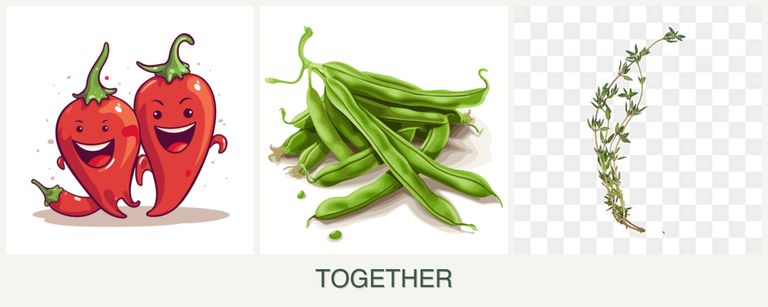 Can you plant peppers, beans and thyme together?