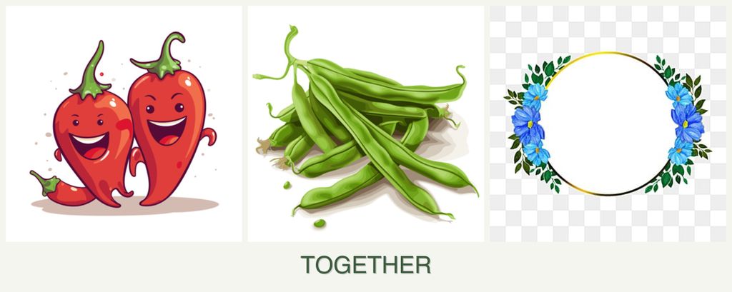 Can you plant peppers, beans and zinnias together?