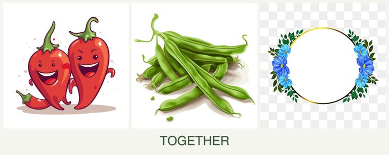 Can you plant peppers, beans and zinnias together?
