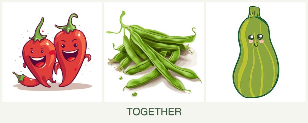 Can you plant peppers, beans and zucchini together?