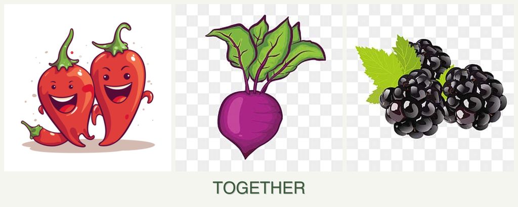 Can you plant peppers, beets and blackberries together?