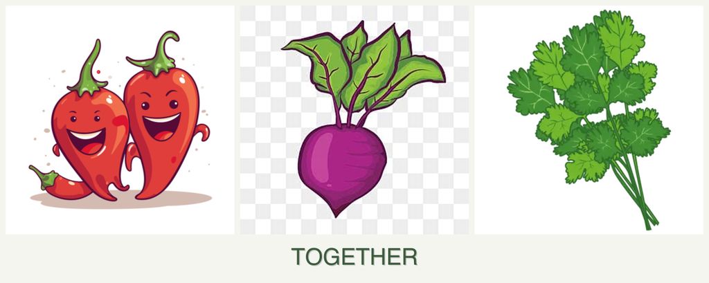 Can you plant peppers, beets and cilantro together?
