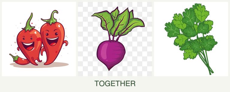 Can you plant peppers, beets and cilantro together?