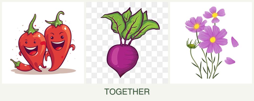 Can you plant peppers, beets and cosmos together?