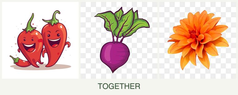 Can you plant peppers, beets and dahlias together?