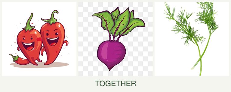 Can you plant peppers, beets and dill together?