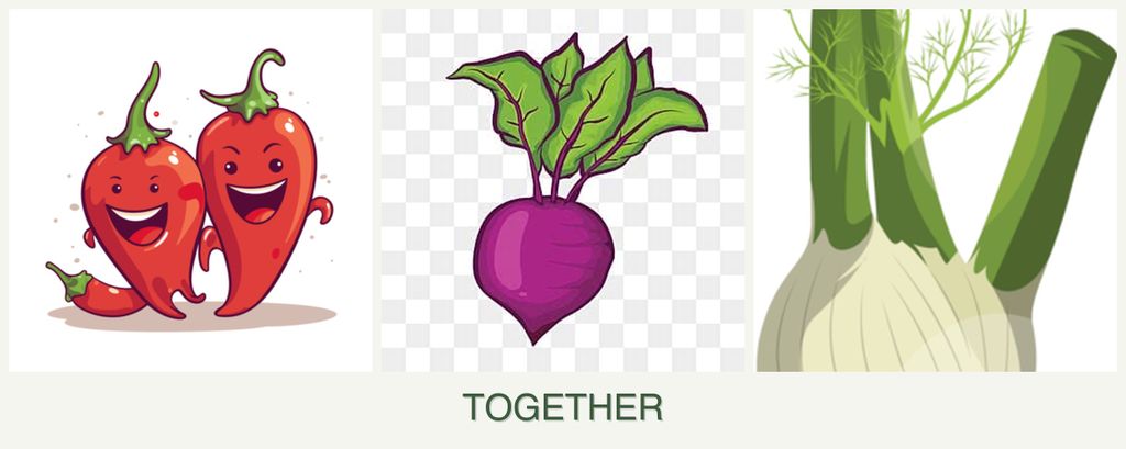 Can you plant peppers, beets and fennel together?