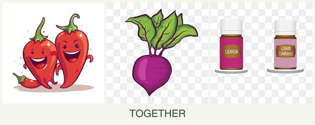 Can you plant peppers, beets and geraniums together?
