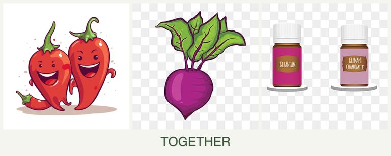 Can you plant peppers, beets and geraniums together?
