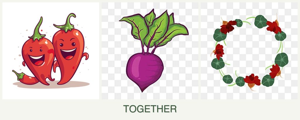 Can you plant peppers, beets and nasturtiums together?