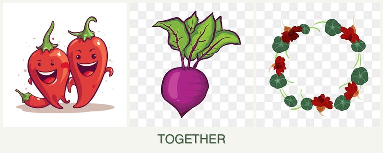 Can you plant peppers, beets and nasturtiums together?