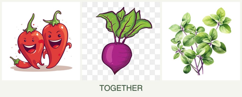 Can you plant peppers, beets and oregano together?