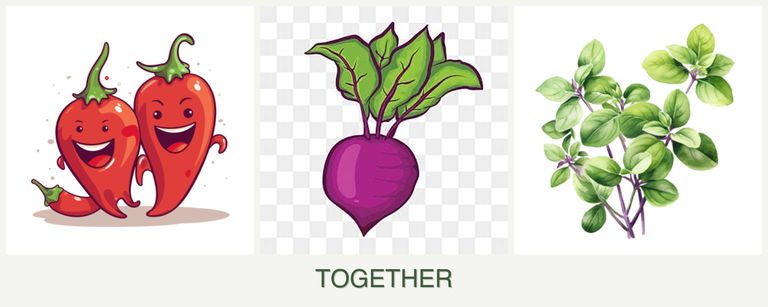 Can you plant peppers, beets and oregano together?
