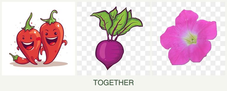 Can you plant peppers, beets and petunias together?