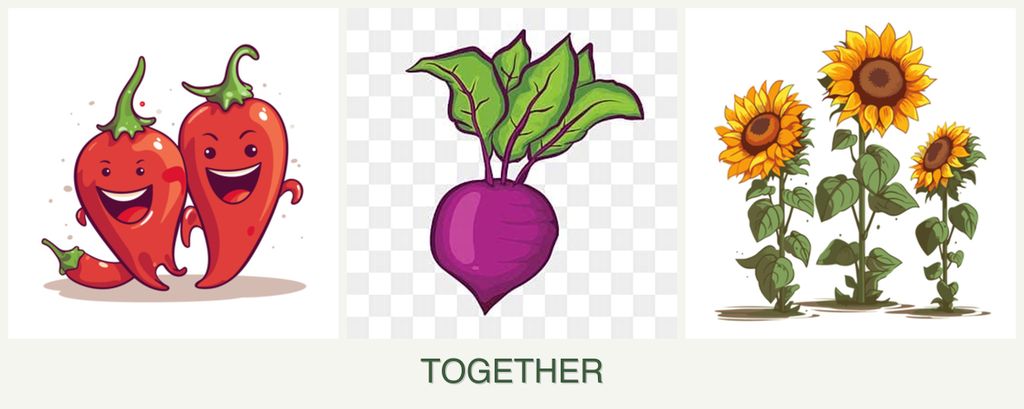 Can you plant peppers, beets and sunflowers together?