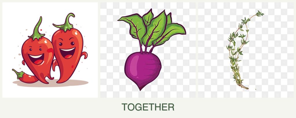 Can you plant peppers, beets and thyme together?