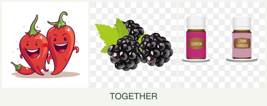 Can you plant peppers, blackberries and geraniums together?