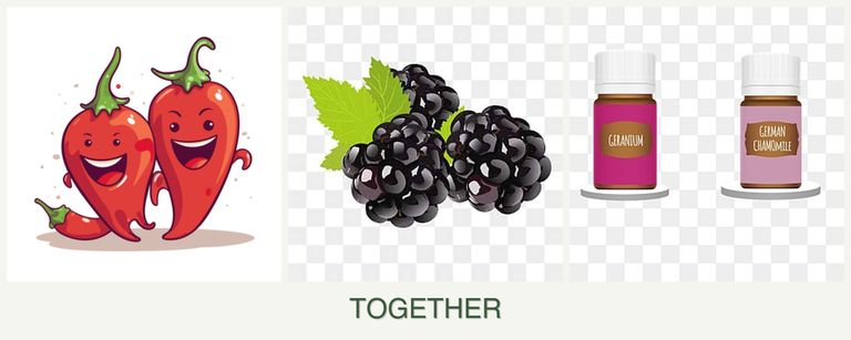 Can you plant peppers, blackberries and geraniums together?