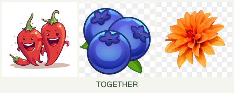 Can you plant peppers, blueberries and dahlias together?