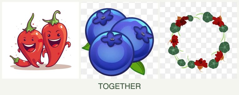 Can you plant peppers, blueberries and nasturtiums together?