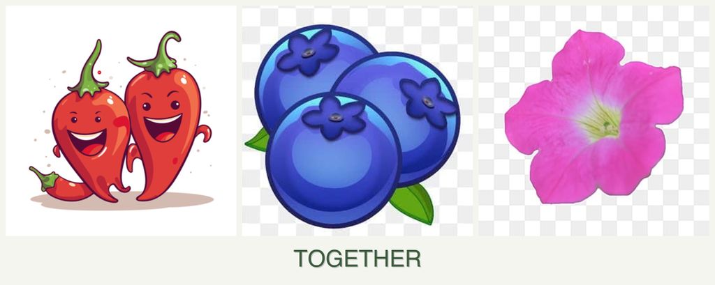 Can you plant peppers, blueberries and petunias together?