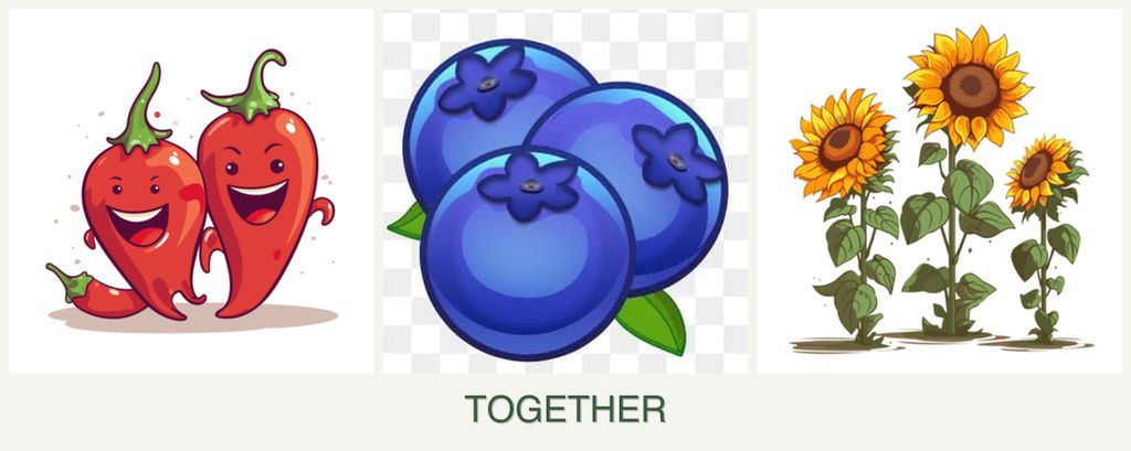Can you plant peppers, blueberries and sunflowers together?
