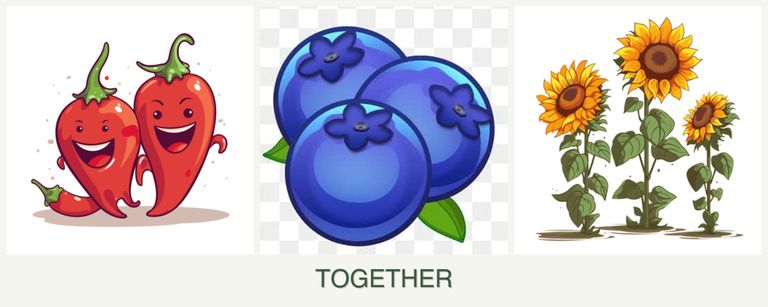 Can you plant peppers, blueberries and sunflowers together?