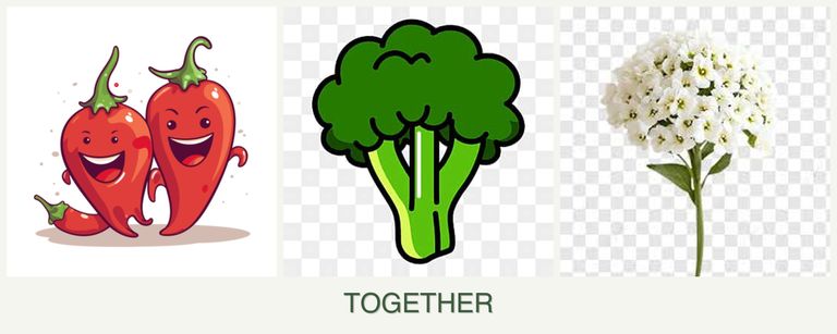 Can you plant peppers, broccoli and alyssum together?