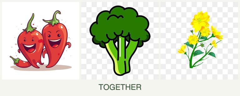 Can you plant peppers, broccoli and calendula together?