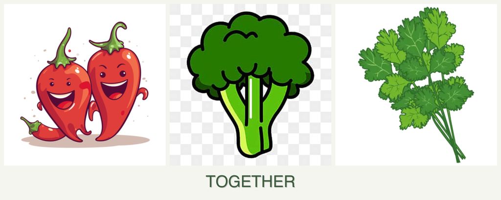 Can you plant peppers, broccoli and cilantro together?