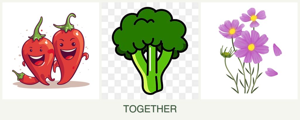 Can you plant peppers, broccoli and cosmos together?