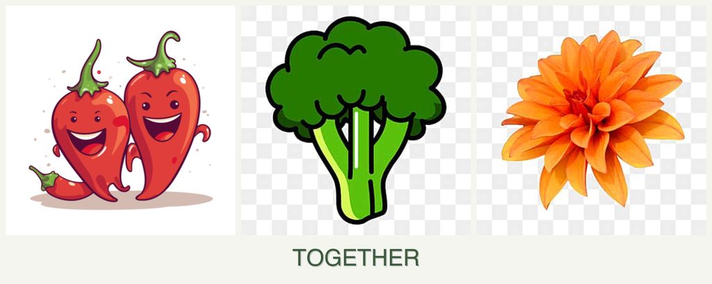 Can you plant peppers, broccoli and dahlias together?