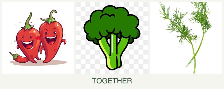Can you plant peppers, broccoli and dill together?