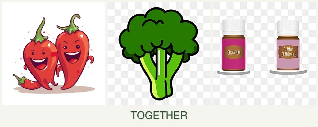 Can you plant peppers, broccoli and geraniums together?