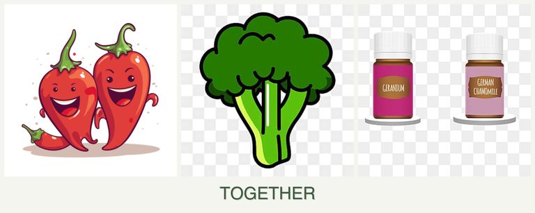 Can you plant peppers, broccoli and geraniums together?