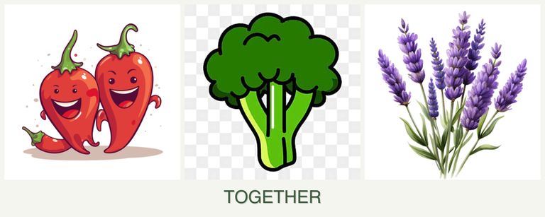 Can you plant peppers, broccoli and lavender together?