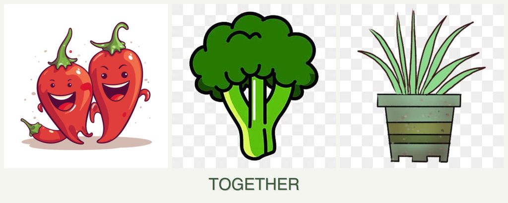 Can you plant peppers, broccoli and lemongrass together?
