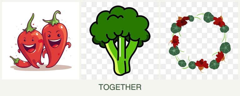 Can you plant peppers, broccoli and nasturtiums together?