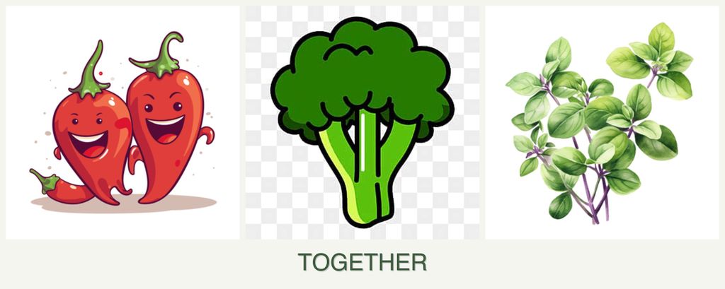 Can you plant peppers, broccoli and oregano together?